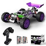 dexinco RC Cars, 1/16 Fast RC Buggy, 40 KM/H High
