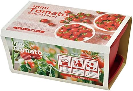 Amazon Co Jp エンジョイプランター ベジ ミニトマト 種から育てる栽培キット 土がたっぷり入るプランター付き ホーム キッチン
