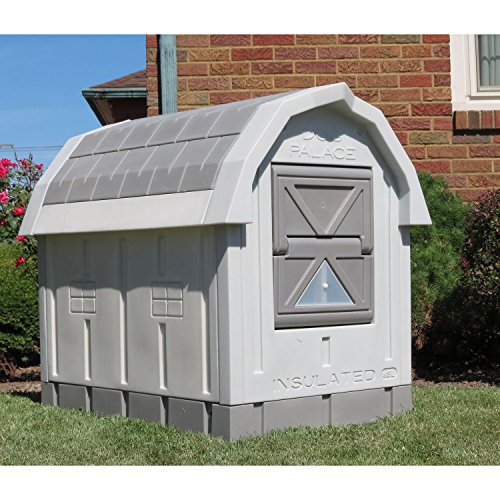 10 best insulation for dog house