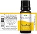 Plant Therapy Citrus Burst Synergy Essential Oil Blend 10 mL (1/3 oz) 100% Pure, Undiluted, Therapeutic Grade