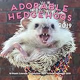 Adorable Hedgehogs Mini 2019: 16-Month Calendar - September 2018 through December 2019 Adorable Hedgehogs Mini 2019: 16-Month Calendar - September 2018 through December 2019