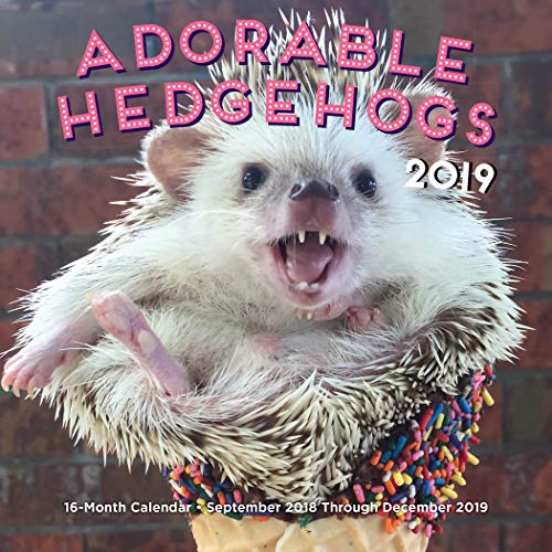 Adorable Hedgehogs Mini 2019: 16-Month Calendar - September 2018 through December 2019