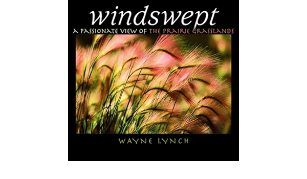Windswept A Passionate View Of The Prairie Grasslands Lynch Wayne 9781894856256 Amazon Com Books