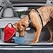 Kurgo Dog Food Travel Bag | Pet Food Travel Storage Container | Dog Travel Accessories for Camping | Easy to Clean | BPA Free | Foldable | Holds 5 Pounds | Kibble Carrier | Coastal Blue & Chili Red