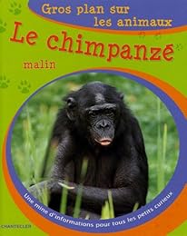 Le  chimpanzé malin