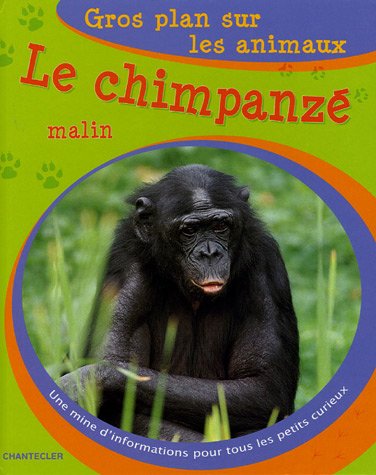 Le  chimpanzé malin