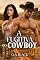 Livro A Fugitiva do Cowboy