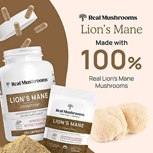 Real Mushrooms Lion’s Mane Capsules Organic Lions Mane Mushroom