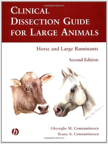 Clinical Dissection Guide For Large Animals Horse And Large Ruminants Constantinescu Gheorghe M Constantinescu Ileana A 9780813803197 Amazon Com Books