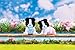Calico Critters Border Collie Twins Set