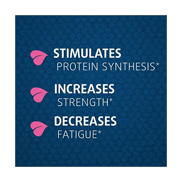 Haya-Labs-Ecdysterone-250mg-100-Capsules Haya Labs Ecdysterone 250mg 100 Capsules