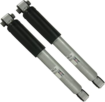 Amazon Com Sensen 7330 Rs Rear Struts Compatible With 2002 2007 Buick Rendevous Automotive