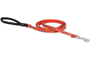 LupinePet Originals 1/2" Go Go Gecko 6-foot Padded Handle Leash for Small Pets