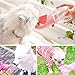 ANREONER Portable Dog Water Bottle for Walking,2.76