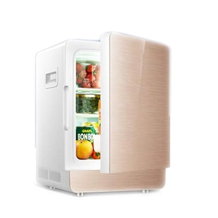 YXYNB Refrigerador para automóvil Refrigerador refrigerado para ...