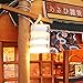 Flever Dollhouse Miniature DIY House Kit Creative Room with Furniture for Romantic Valentine's Gift(Chao Yang Grocery Store)