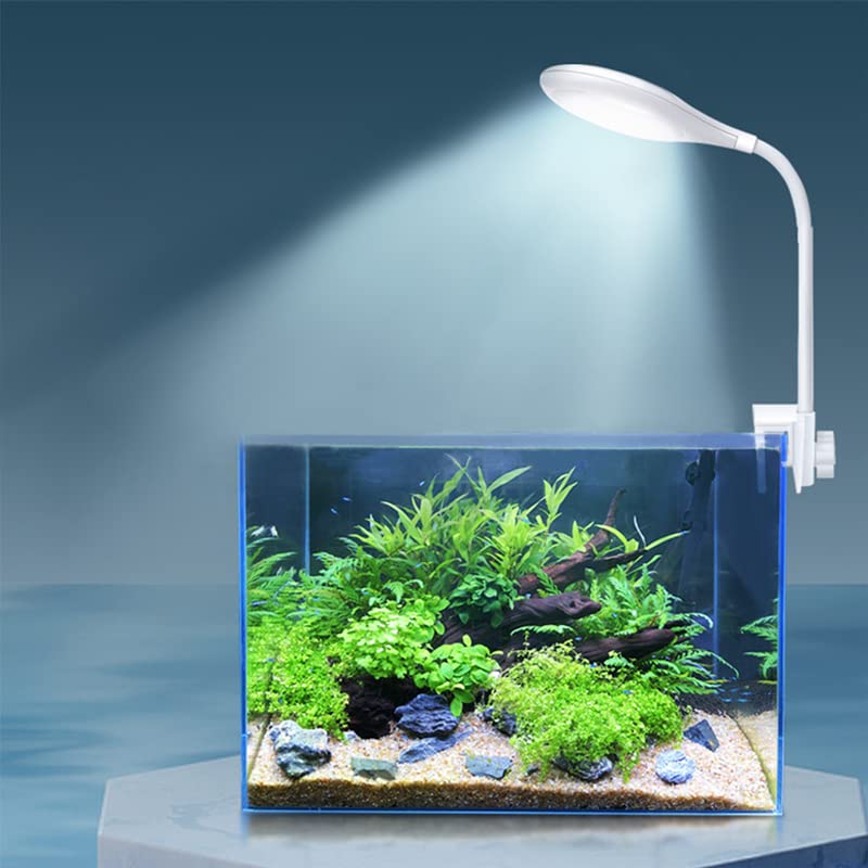 BigTron Full Spectrum Aquarium Light,Oval Mini USB 11 Blue 11Red LEDs Aquarium Light with Adjustable Screw for 4mm-14mm Thickness,360 Degrees Turn Arbitrarily for Fish Tank