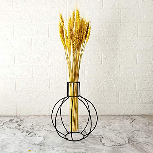 Beau Jour Natural Dried Wheat Sheaves 100 Stems for Autumn Arrangements DIY Home Decor (Gold)