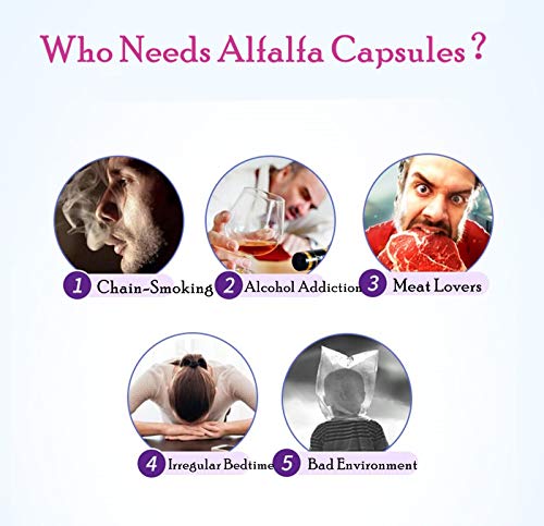 image for Natural Alfalfa Supplement 500mg 250 Capsules [1 Bottle] by Total Natu