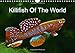 Killifish Of The World 2016: Colourful fish - Killifish from Africa and South America (Calvendo Nature) by 