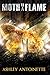 Moth to a Flame