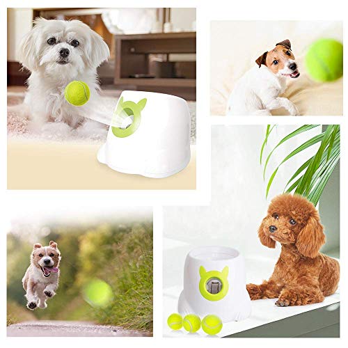 Dporticus Automatic Interactive Dog Tennis Ball Launcher Throwing Machine for Training and Playing,20 Balls