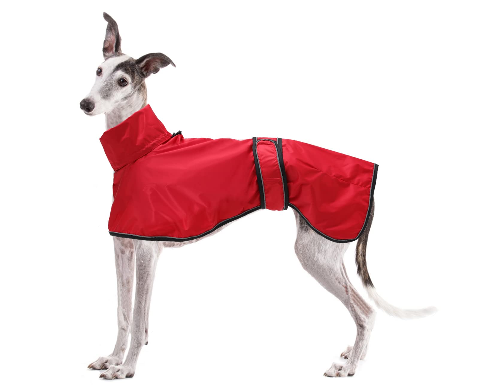 Dog Jacket Adjustable Lightweight Raincoat with Reflective Straps and Harness Hole Best Gift for Greyhounds, Lurchers and Whippets -Red -L
