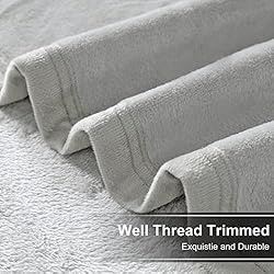 EASELAND Soft Queen Size Blanket Warm Microplush