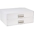 Bigso Box of Sweden Birger 2-Drawer Fiberboard Label Frame Document Letter Box | Desktop Drawers for Loose Papers, Documents & More with Metal Label Holder | 13.1" x 10" x 5.7" | White