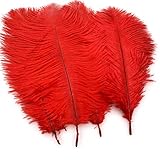 Sowder 20pcs Natural 10-12inch(25-30cm) Ostrich Feathers Plume Wedding Centerpieces Home Decoration(red)