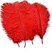 Sowder 20pcs Natural 10-12inch(25-30cm) Ostrich Feathers Plume for Wedding Centerpieces Home Decoration(red)
