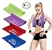 NoApollo [ 4 Pack ] Cooling Towel (40