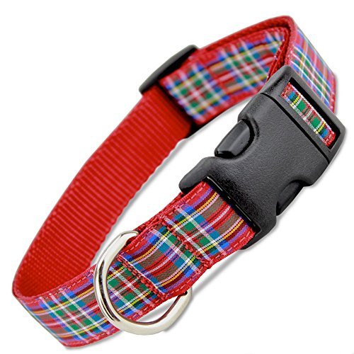 Scottish Plaid Dog Collar - Royal Stewart Tartan (Medium, 10