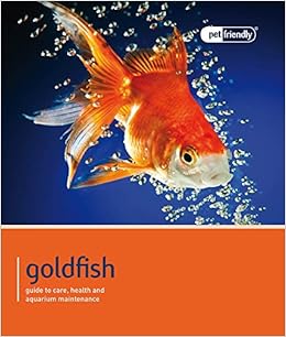 goldfish care uk