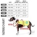 SafetyPUP XD Dog Reflective Vest – Hi-Vis Fluorescent Visibility That Helps to Safeguard Your Pet On/Off Leash in Urban & Rural Areas (Yellow, Large)