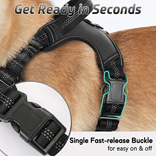 rabbitgoo Dog Harness, No Pull Dog Vest for Large Dogs with Bungee Shoulder Straps, Reflective Dog Walking Harness with… - Image 7