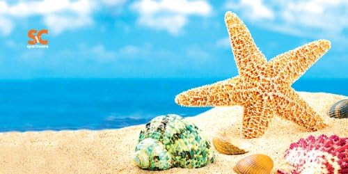 Sport N CareMarine Towel (Starfish Beach) Beach Towel 32" x 60"