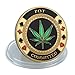 SW Poker Card-Guard Coin Collectibles Table Games Poker Card-Guard Protector Golden Coin Chip w/Plastic Case, Poker Chips Coin, A Great Coin Collecting Gifts for Husband, Father, Friends