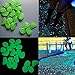 Homder 220pcs Glow in the Dark Garden Pebbles for Walkways & Decor and Plants Luminous Stones in Blue & Green & White
