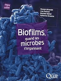 Biofilms, quand les microbes s'organisent