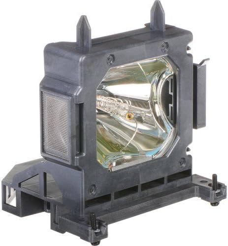 Hallo maxi video original