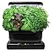 AeroGarden International Basil Seed Pod Kit (6-pod)