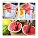 PREMIUM WATERMELON SLICER SET ◉ Fruit Meat Slicer Server Cutter Corer Tongs ◉ Best Stainless Steel Cantaloupe Melon Baller And Knife As Seen On TV ◉ Gift Card Kitchen Gadget Home Utensil