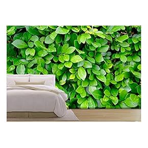 Leaves Background - Removable Wall Mural | Self-Adhesive Large Wallpaper - 66x96 inches