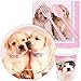 BirthdayExpress Rachael Hale Glamour Dogs Party Supplies - Snack Party Pack