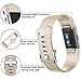 iGK Replacement Bands Compatible for Fitbit Charge 2, Adjustable Replacement Bands with Metal Clasp Classic Edition Champagne Small