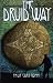 The Druid Way: A Journey Through an Ancient Landscape by 