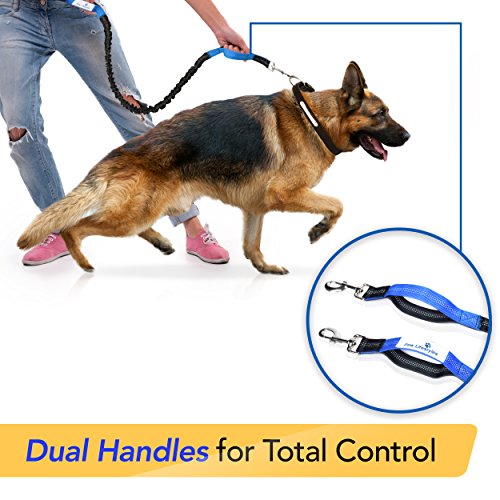 Paw Lifestyles Retractable Hands Free Dog Leash W/Smartphone Pouch