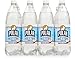 Polar Beverages Seltzer, Toasted Coconut, 33.8 Fluid Ounce (Pack of 12)