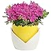 Decorative Yellow & White Nesting Design Ceramic Flower Planter Pot/Plant Container w/Attached Saucer
